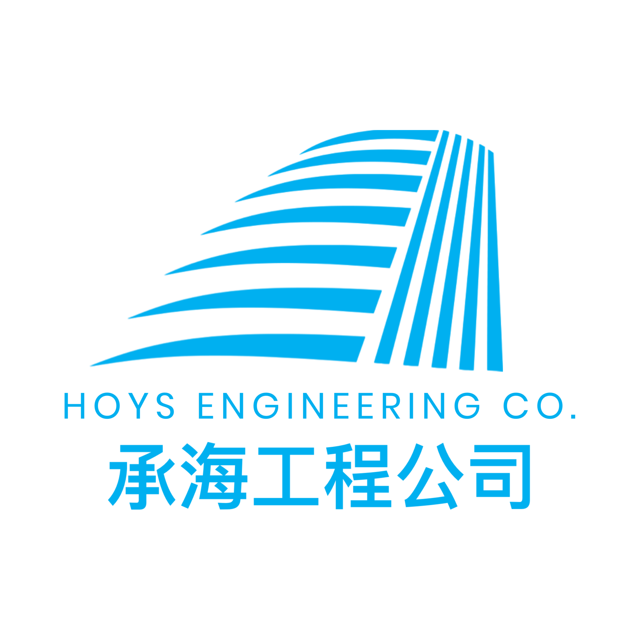 HOYS ENGINEERING COMPANY 承海工程公司